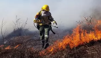 Incendios en el Delta del Paraná: “La justicia y el poder político no están a la altura para frenar esto”