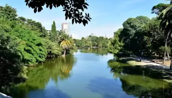 Día de la Niñez en el Bosque: La agenda completa de actividades