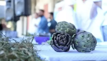 La Plata se prepara para la gran Fiesta del Alcaucil