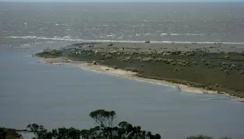 Punta Rasa, donde se besan el agua dulce y el agua salada