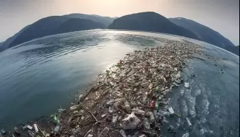 Greenpeace: “Comemos una tarjeta de crédito de plástico promedio por semana”