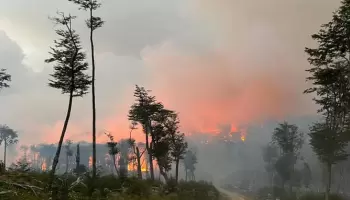 Incendios en Tierra del Fuego: “Estamos esperando que pueda llover un poco más”