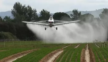 Syngenta: Cuestionan la "legitimidad" del nombramiento de Antonio Aracre