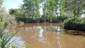 Lotean y venden terrenos en una zona de humedales en La Plata