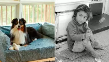 Nos metieron el perro