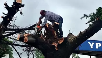 Denuncian que Mario Secco pone en peligro la reserva de Punta Lara con la remodelación del Camino Negro