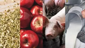 Avanza el Régimen de Promoción de la producción orgánica para economías regionales