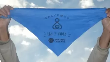 Unión por la Patria quiso impedir que un espacio provida usara el color celeste