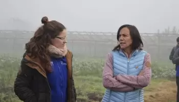 Libres del Sur: "Hoy hay una ciudad de La Plata dividida en dos"