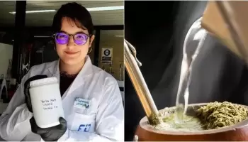 Crean pilas recargables a partir de yerba mate usada: “Queremos que sea lo menos contaminante posible”