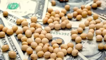 Medidas para el agro: “Hay un nivel grande de incertidumbre”