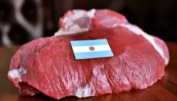 Cadena bovina: Expertos expusieron los lineamientos estratégicos del proyecto