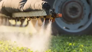 Medioambiente: “Argentina optó por un modelo productivo basado en transgénicos y agrotóxicos”