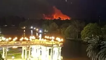 Incendios en el Delta: “No podemos decir que sean intencionales porque no es zona agropecuaria”
