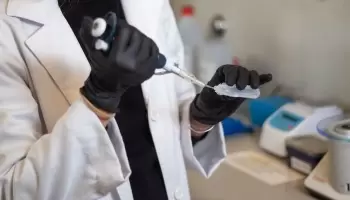 La ciencia argentina estudia un fármaco contra el dolor crónico: “Los resultados son alentadores”