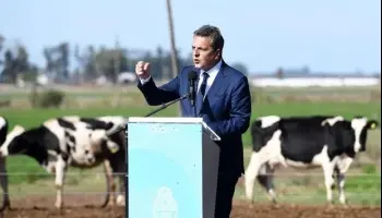 “El productor de campo no votó a Massa porque lo vio como un enemigo”