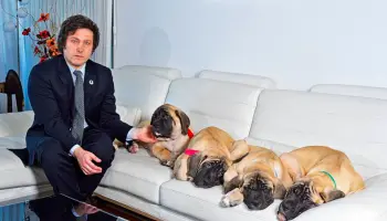 La obsesión de Milei por los perros y su idea de convertir al CONICET en un centro de clonación