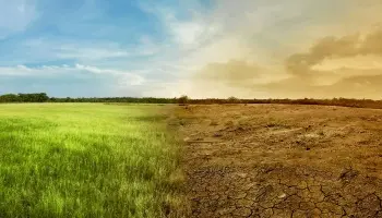 Acción Ambiental: “Le decimos a Milei que el calentamiento global no es un tema ideológico”