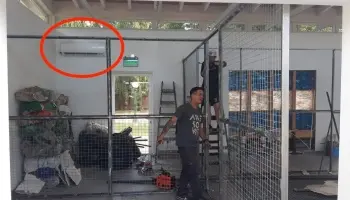 Quinta de Olivos: Milei les instaló aire acondicionado a sus cinco perros