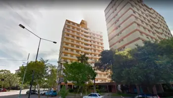 Demandan a periodista por tener nueve perros: "Son el principal apoyo de mis hijos con discapacidad"