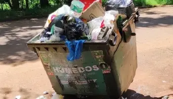 Aumentan los problemas de minibasurales en Puerto Iguazú