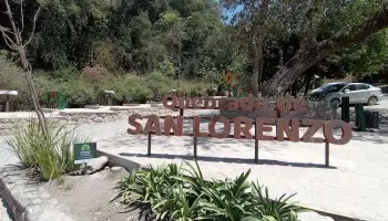 Salta: En San Lorenzo suspendieron las castraciones gratuitas