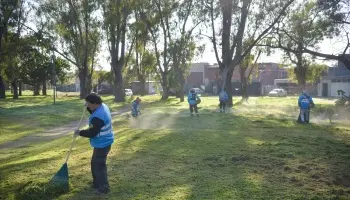 Hidrogrúas, camiones y un megaoperativo para poner en valor la rotonda de ingreso a La Plata