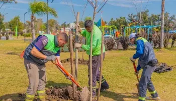 San Fernando: Juan Andreotti acompañó los nuevos trabajos de forestación
