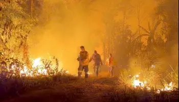 Greenpeace denuncia la crisis en el Gran Chaco: “Son verdaderos crímenes ambientales”