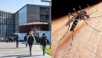Dengue: Ante el brote, la UNSAM y la provincia ya trabajan con IA