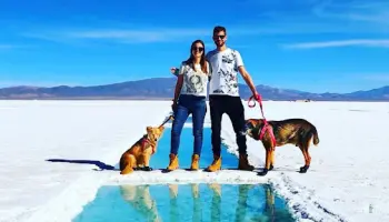 Turismo pet friendly: “El crecimiento es del 80 por ciento en Argentina y sigue aumentando”