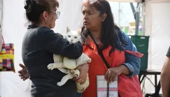 Morón continúa con operativos para facilitar trámites municipales