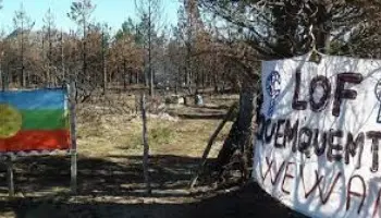 Río Negro: Conflicto en Cuesta del Ternero