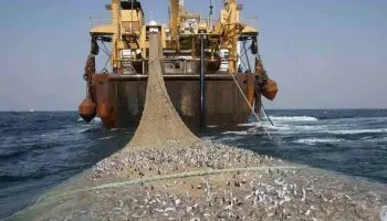 El saqueo silencioso: La amenaza de la pesca llegal en el Pacífico