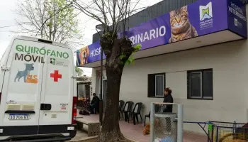 Malvinas Argentinas: Liberaron a más de 60 perros que sufrían maltrato animal