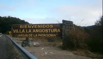 Neuquén: Denuncian tala ilegal de cipreses en una reserva natural de Villa La Angostura