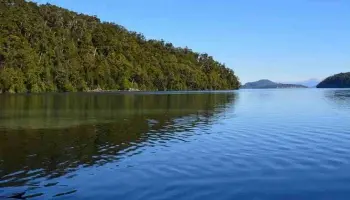 Villa La Angostura: La justicia ordenó al municipio actuar ante los problemas ambientales