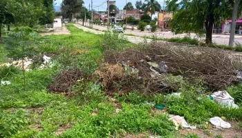 Una ciudad de Jujuy en crisis: Microbasurales avanzan y el municipio no actúa