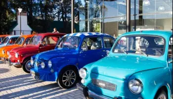 El Fiat 600 tiene su propio DNI: lanzan el Documento Nacional del Fitito
