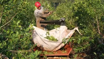 "El gobierno desmanteló las protecciones para los productores yerbateros y nos dejó negociando desnudos"