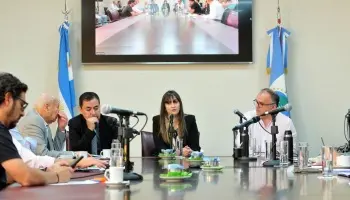 Gloria Ruiz en la cuerda floja: La Legislatura neuquina definirá su futuro político