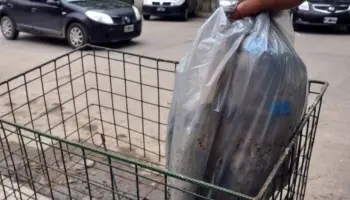 Berisso: Cronograma especial de recolección de residuos para Navidad y Año Nuevo