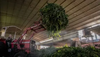 Misiones extiende hasta junio de 2025 las líneas de crédito para fortalecer la producción local