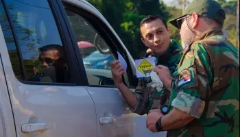 Cuidado en las rutas: Misiones refuerza la campaña para evitar atropellamientos de fauna silvestre