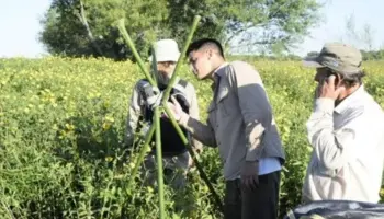 Entre Ríos: Monitoreo de Nidificación del Yacaré Overo en el Parque Nacional Pre Delta