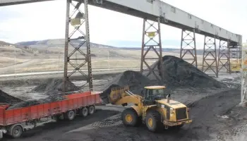 Santa Cruz: YCRT subasta su carbón