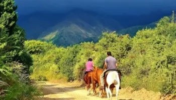 San Luis: Clausuran un puesto de alquiler de caballos por falta de habilitación