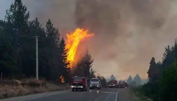 Desastre en Río Negro: Declaran la Emergencia Agropecuaria mientras el fuego avanza sin control