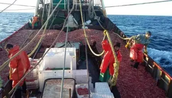 Empresarios pesqueros de Chubut intensifican su reclamo por la eliminación de retenciones