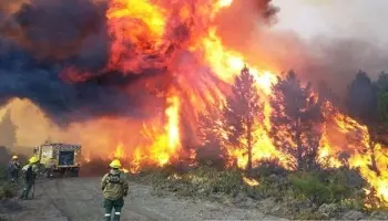 Incendios en la Patagonia: Para Greenpeace, "culpar al pueblo mapuche es malicioso"